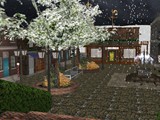 image304