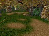 image383