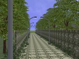 image062