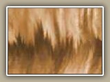 av_hair8
