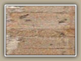 sv-brick19a