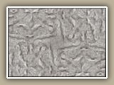 sv-ceiling01c