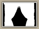 sv-curtain2m