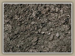 sv-ground16