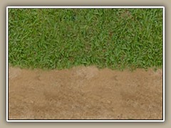 sv-rbank1