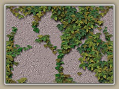 sv-wall11