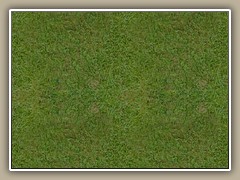 terrain0